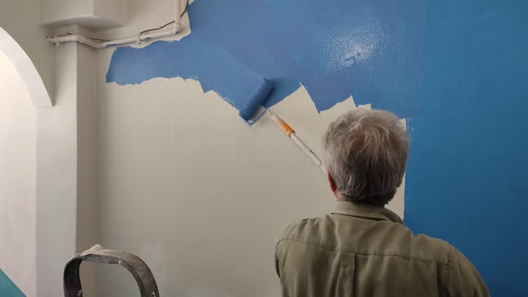 Best Drywall Texturing  in Oak Lawn, IL